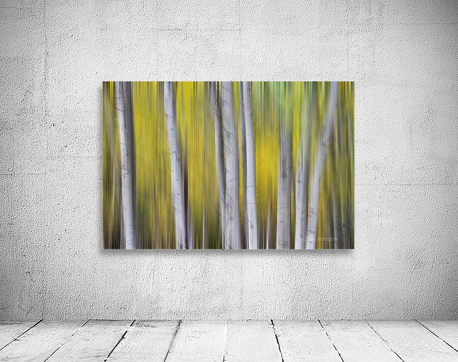 Aspen Light in Motion Fine Art Forest Wall Preview