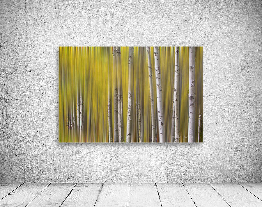 Somewhere Along The Road Dreaming Abstract Aspen Forest Fine Art Wall Preview