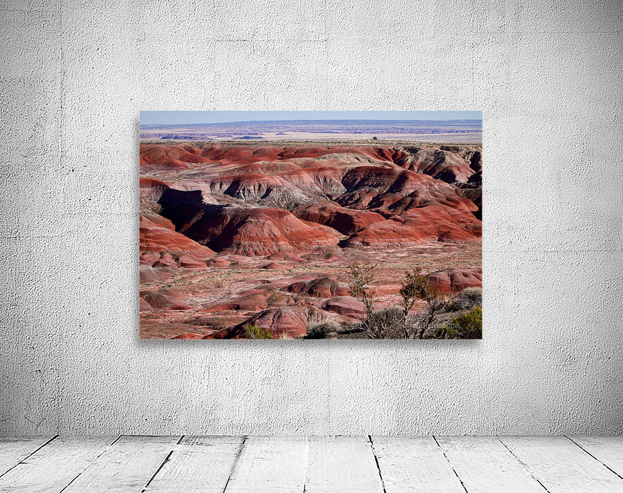 Painted Desert Arizona Colorful Badlands Landscape Wall Preview