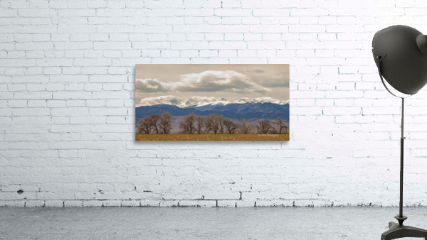Rocky Mountain Front Range Panorama