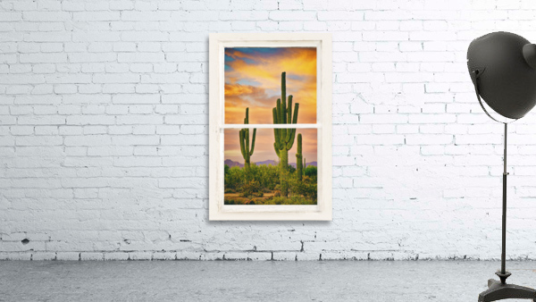 Southwest Desert Sunset View White Window by Bo Insogna