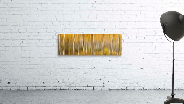 Golden Forest Moment Abstract Panorama by Bo Insogna