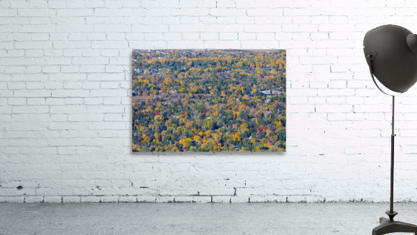 Fall Foliage Boulder Colorado by Bo Insogna