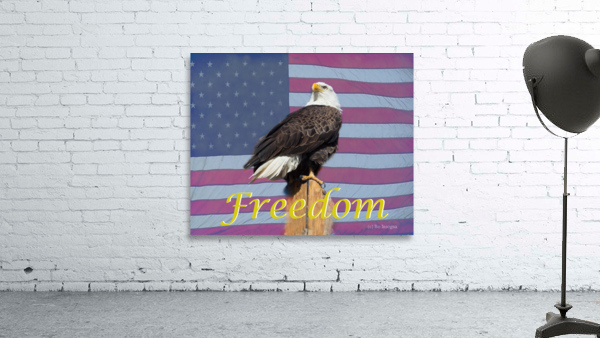 American Freedom by Bo Insogna