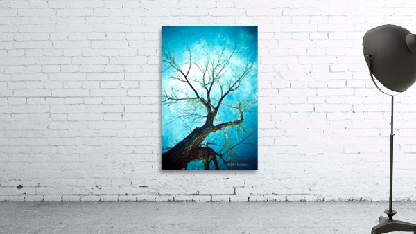 winter tree blue