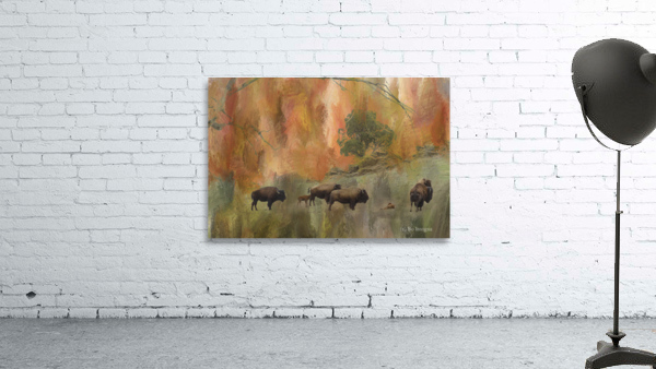 Springtime Bison Calves by Bo Insogna