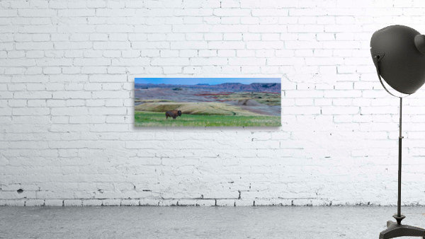 The Majestic Bison -  Roaming the Colorful Badlands of SD by Bo Insogna