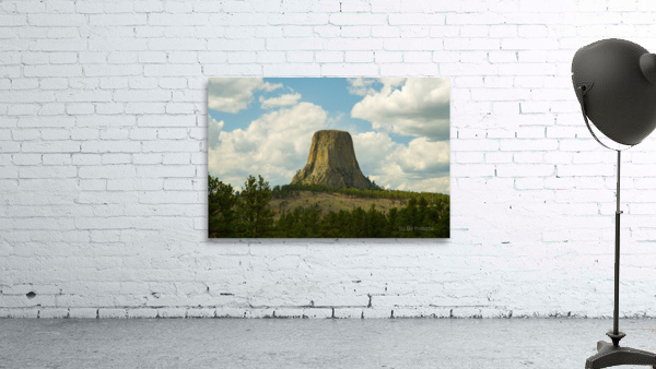 Majestic Devils Tower in Wyoming Amidst Pine Forest by Bo Insogna