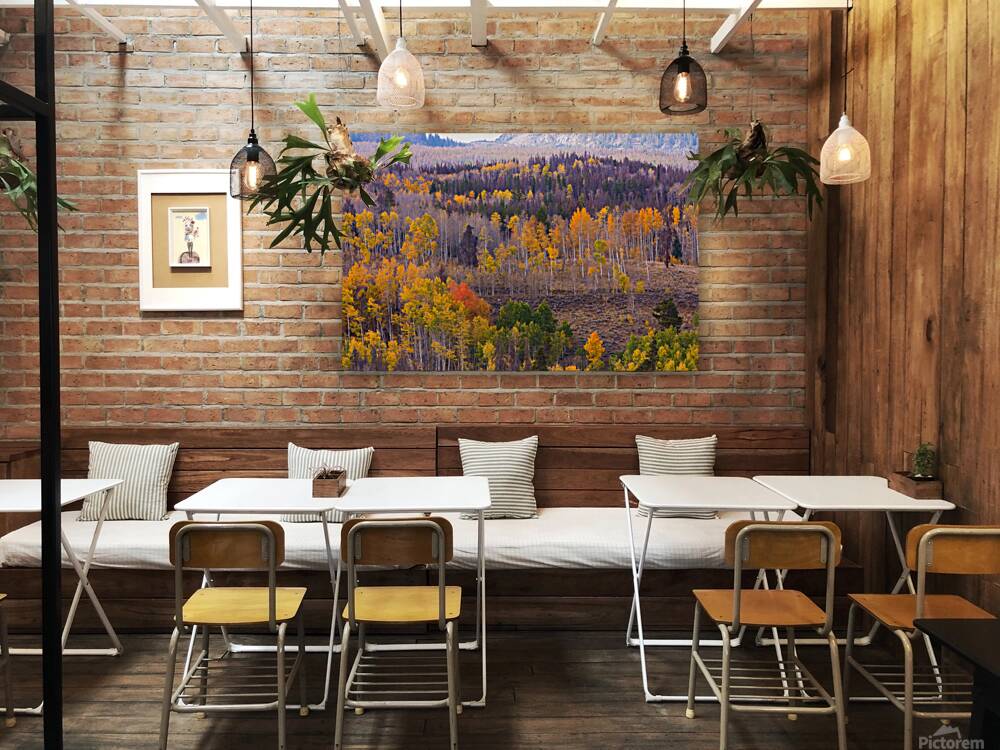 Rocky Mountain Autumn View Reproduction