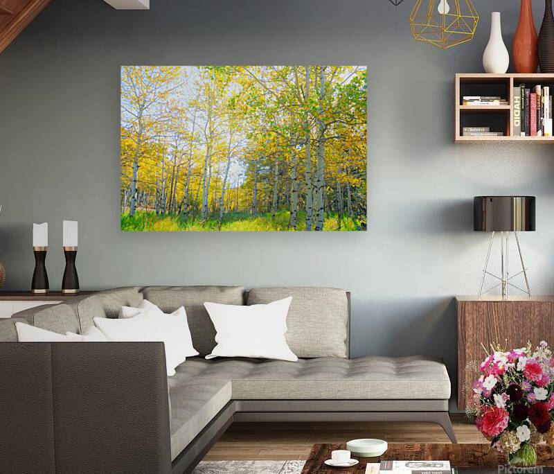 Golden Glimmer A Dance of Aspens in the Sun Reproduction