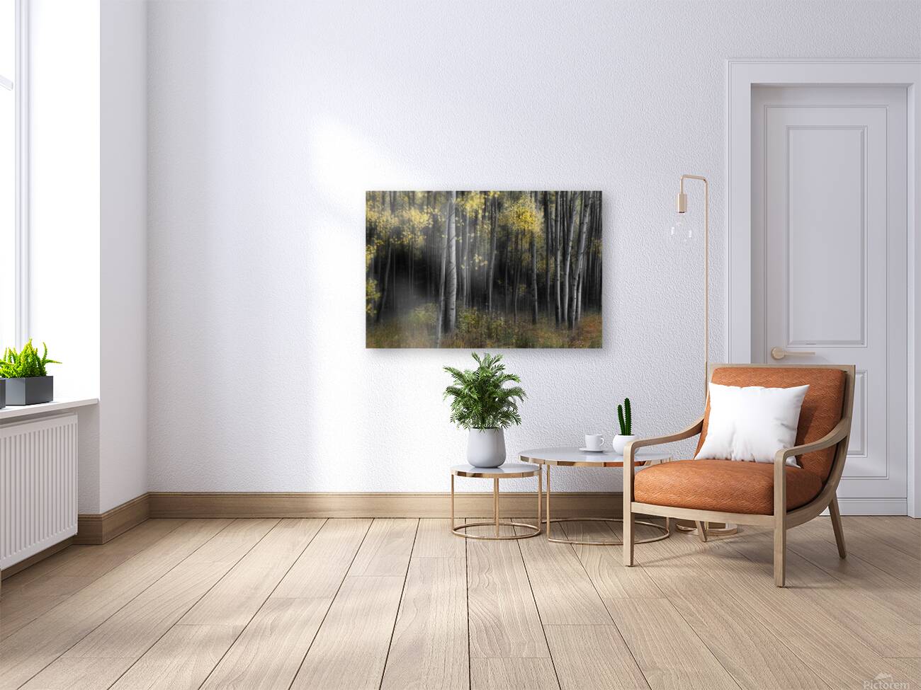 Misty Aspen Grove Reproduction