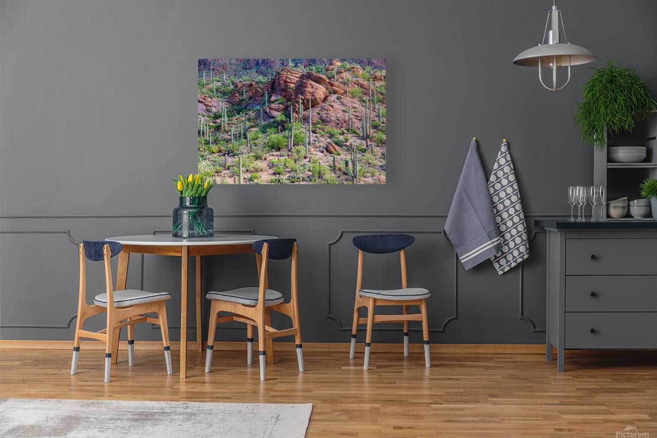 Arizona Desert Forest Reproduction