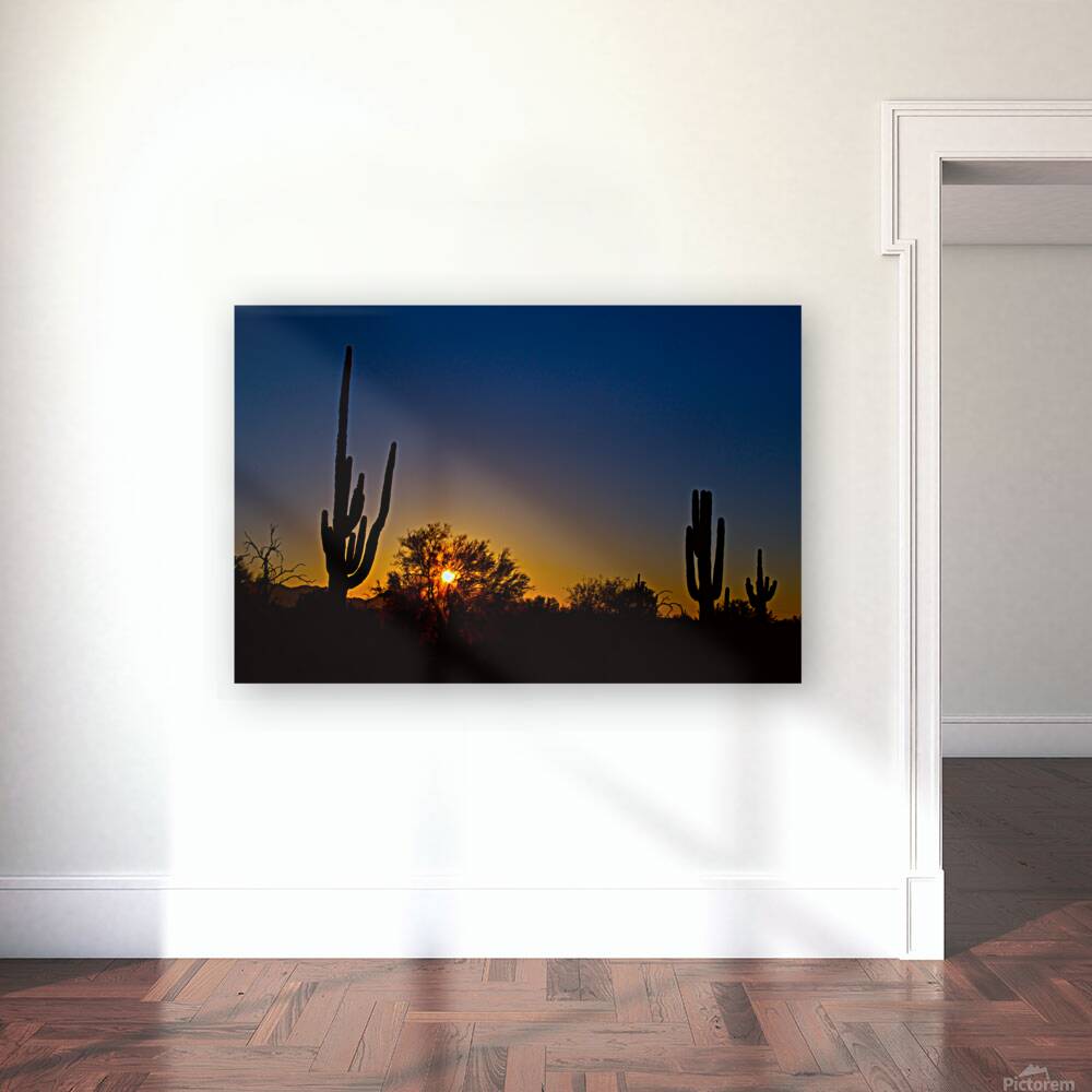 Just Another Sonoran Desert Sunrise Reproduction