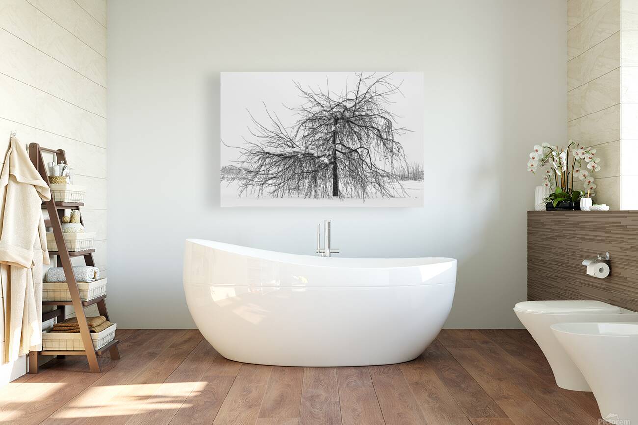 Wild Springtime Winter Tree Black and White Reproduction