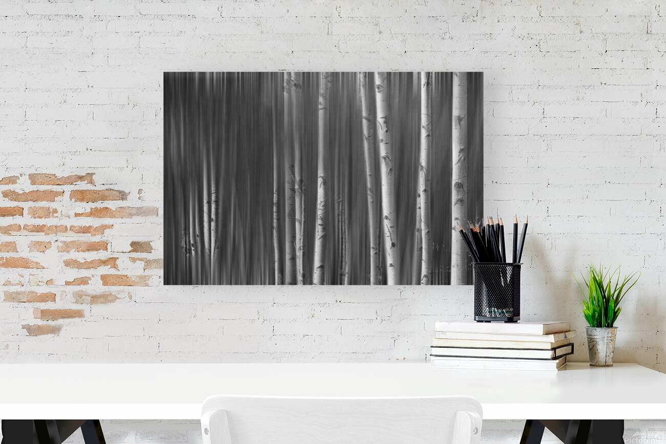 Somewhere Along the Road Dreaming Black and White Reproduction