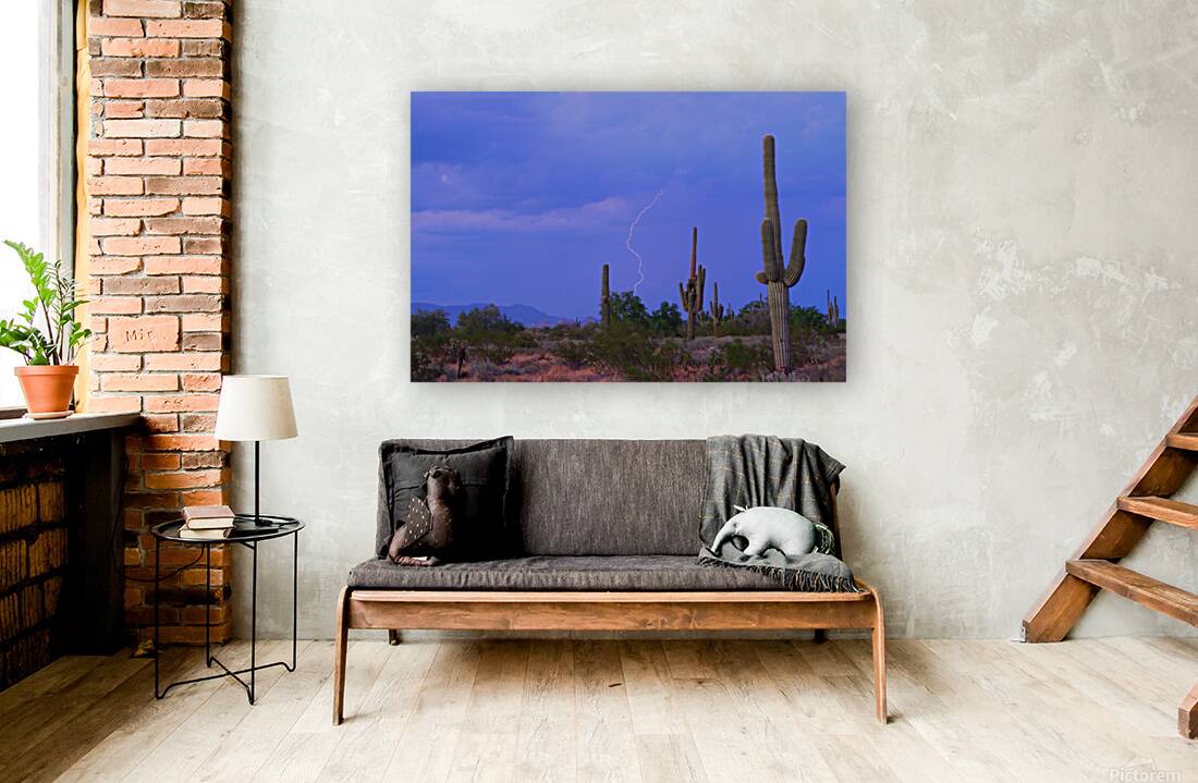 Southwest Sonoran Desert Lightning Strike Reproduction