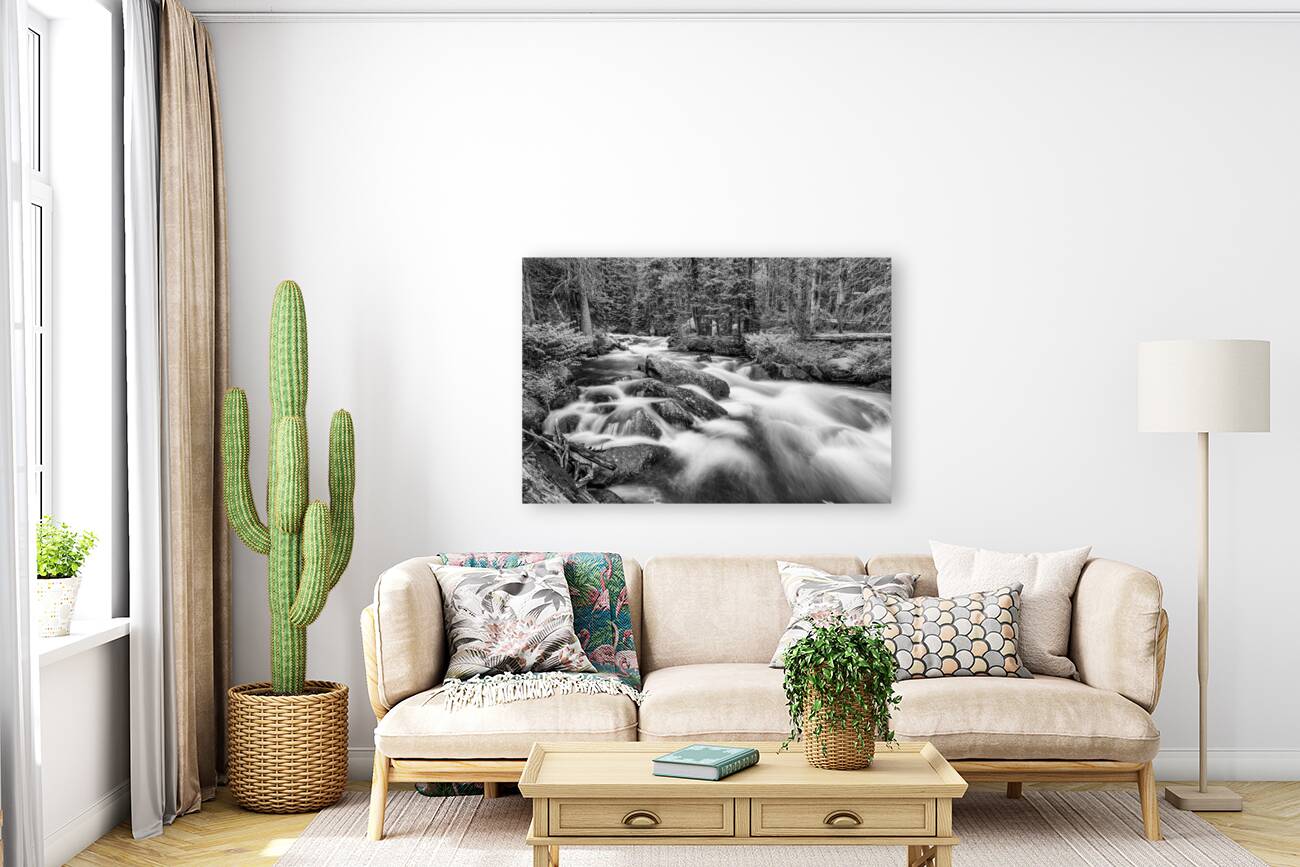 Roosevelt National Forest Stream Reproduction