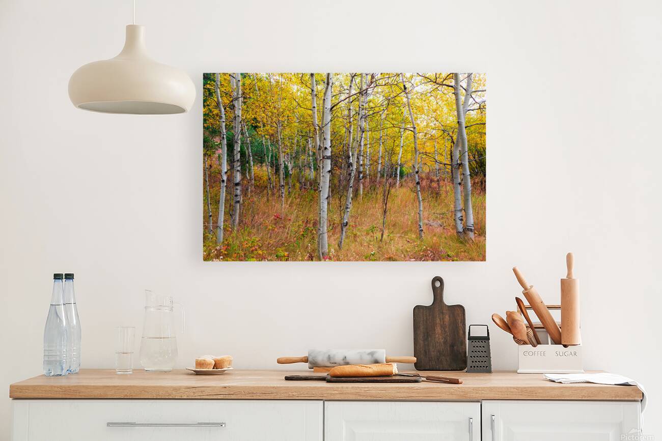 Happy Place In The Woods Reproduction