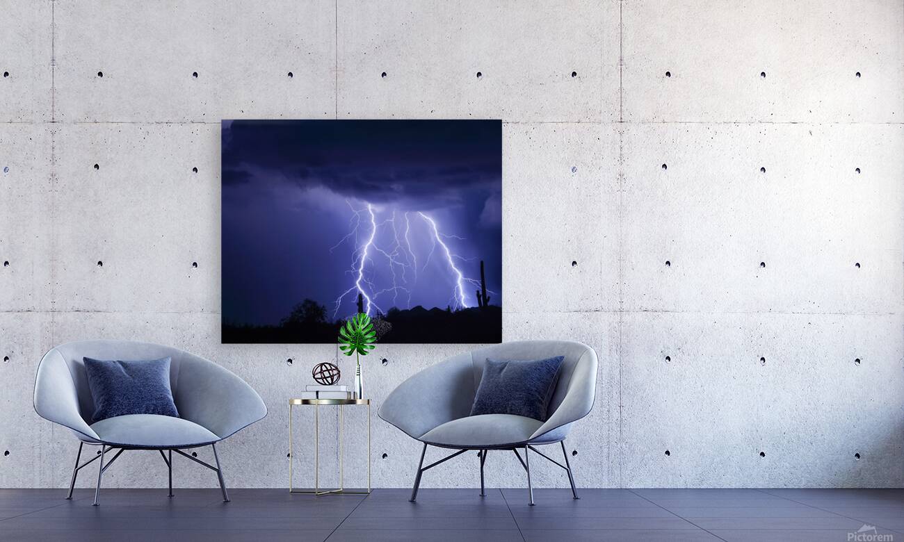 Night Striking Down Reproduction