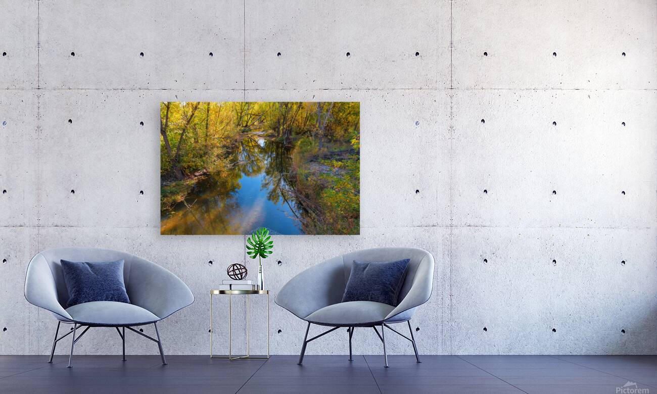 Reflections Time Reproduction