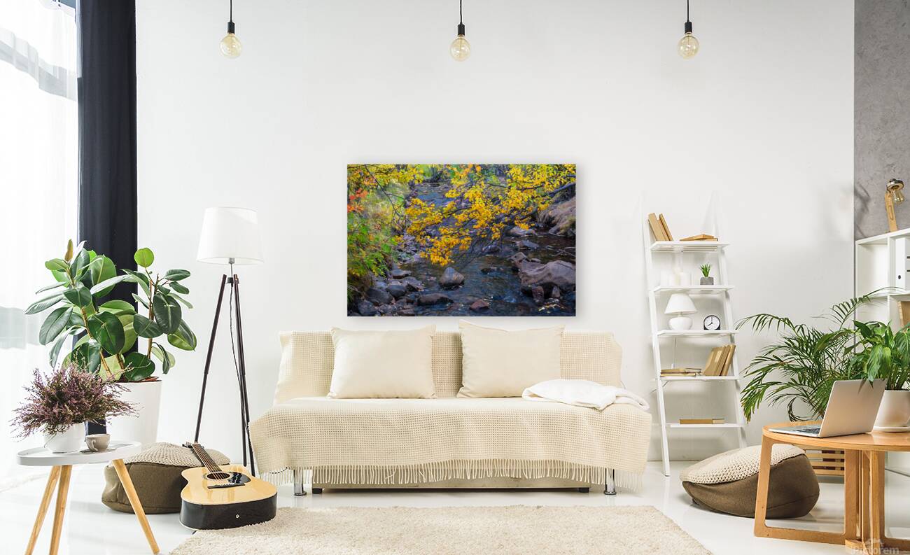 Golden Stream Reproduction