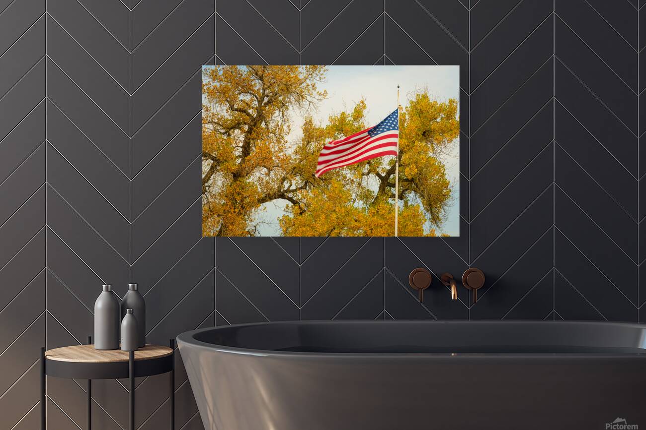 Glory Glory Reproduction