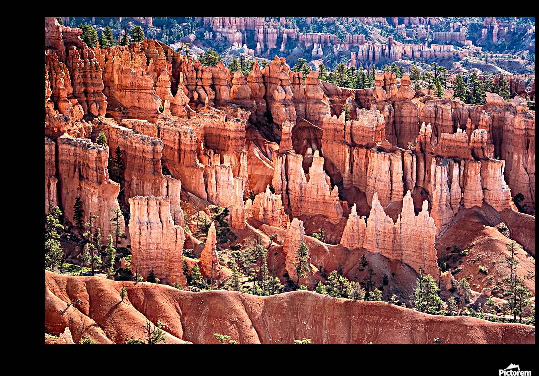 Bryce Canyon Utah Hoodoos Views Reproduction