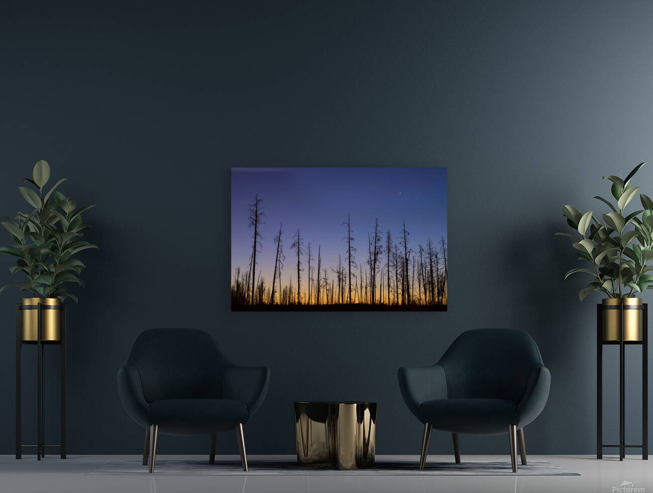 Yellowstone National Park wildfire aftermath Reproduction