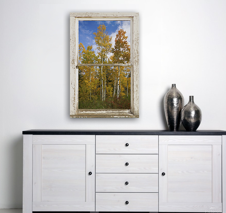 Colorado Autumn Aspens Nature Window View with Floating Frame
