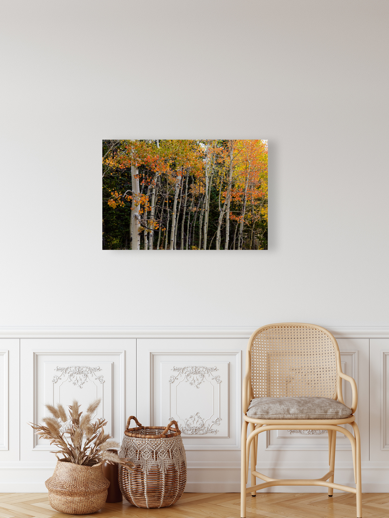 autumn seasons change with Floating Frame