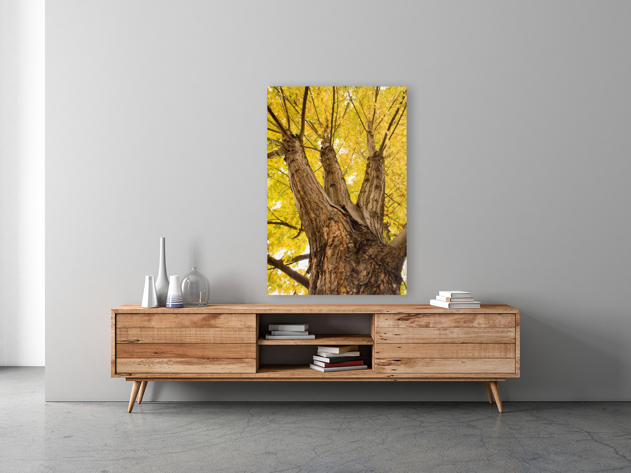Big Maple with Floating Frame