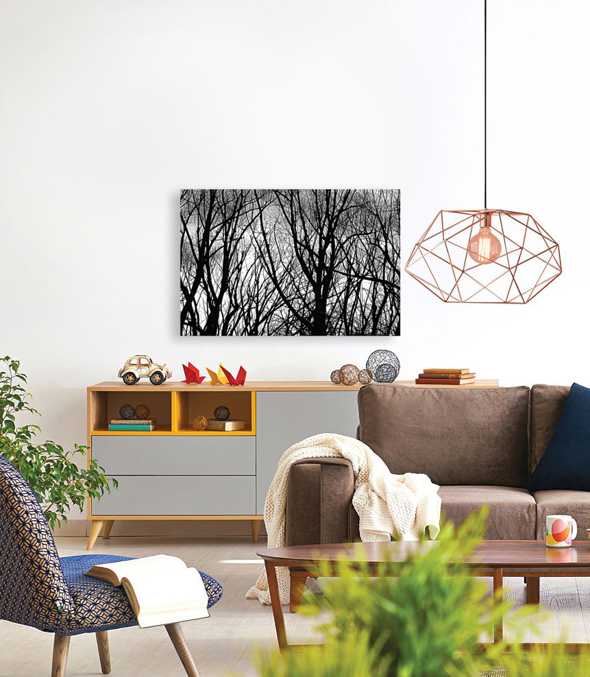 Tree Branches Into The Night with Floating Frame