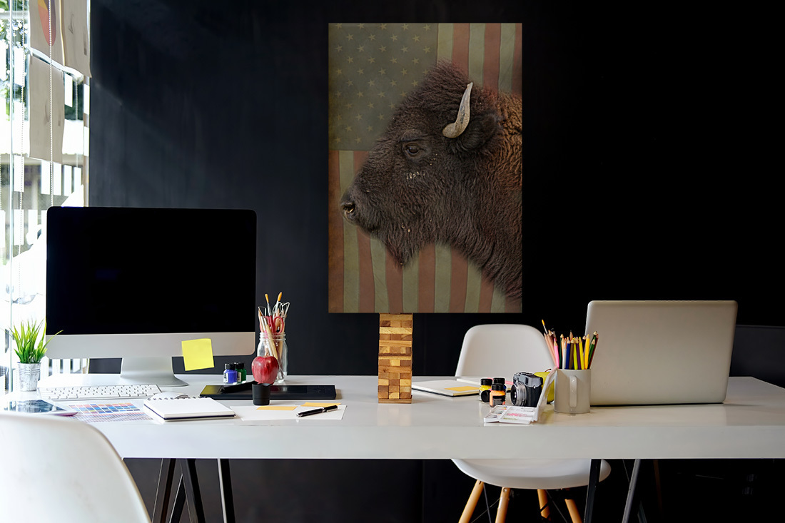 American Bison Profile  Art