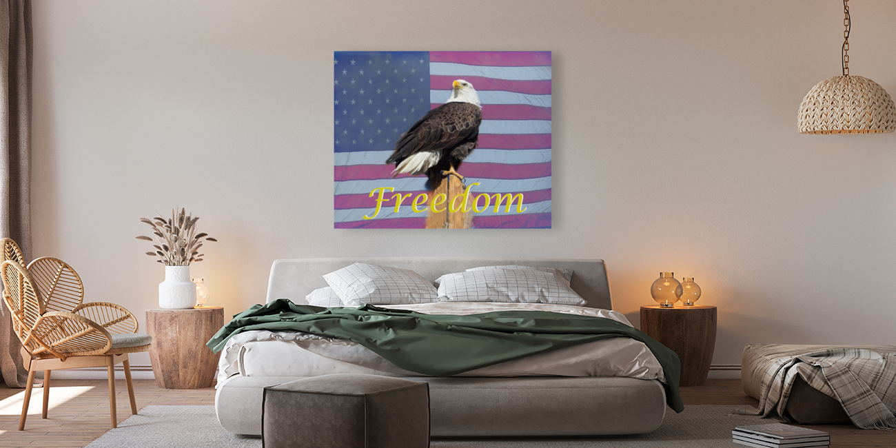 American Freedom  back frame mount