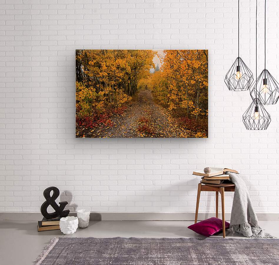 Colorful Autumn Hiking Path  Wood print