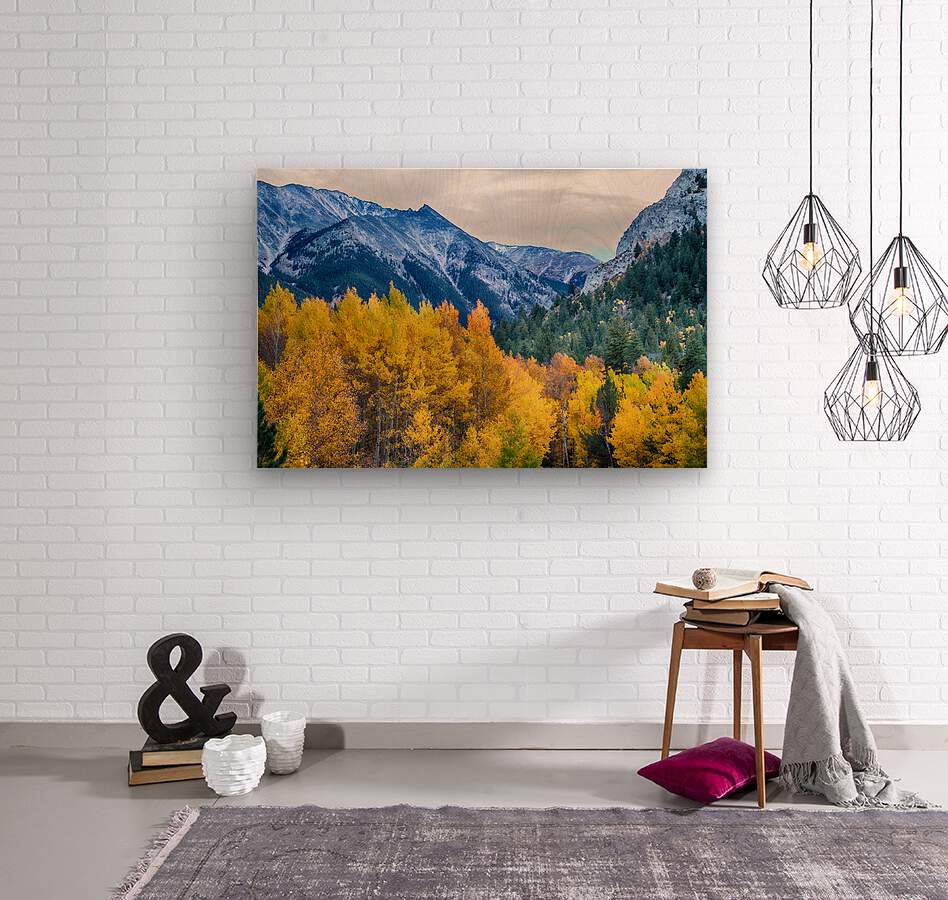 Colorful Crested Butte Colorado  Wood print