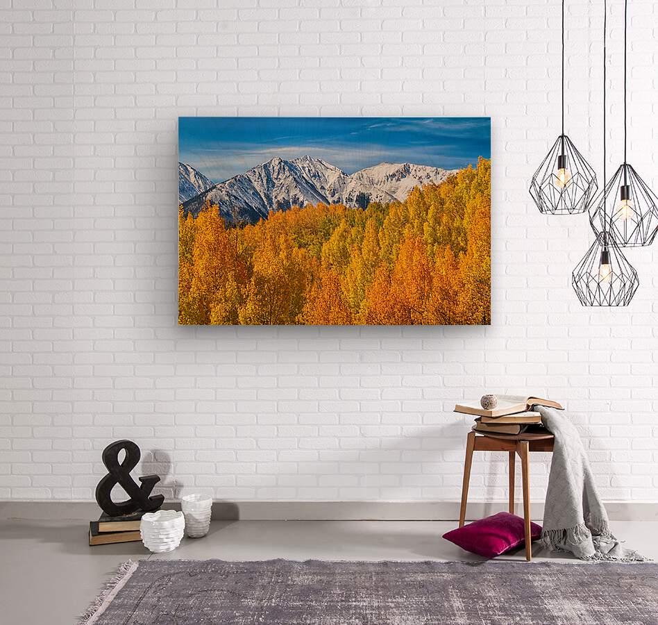 Colorado Rocky Mountain Autumn Beauty  Wood print