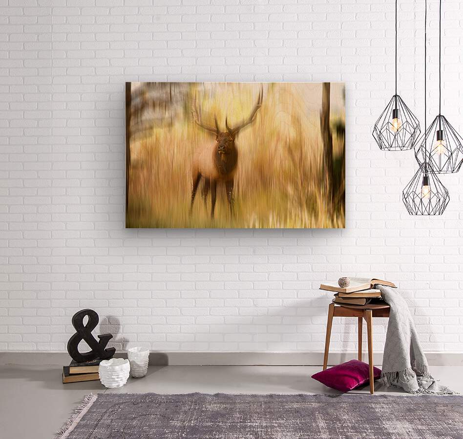 Bull Elk Forest Dreaming  Wood print