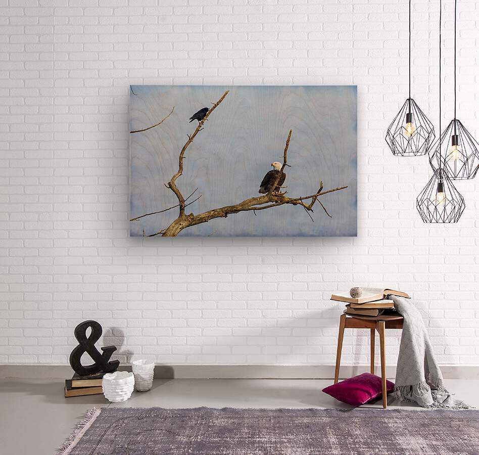 Bald Eagle Crow  Wood print