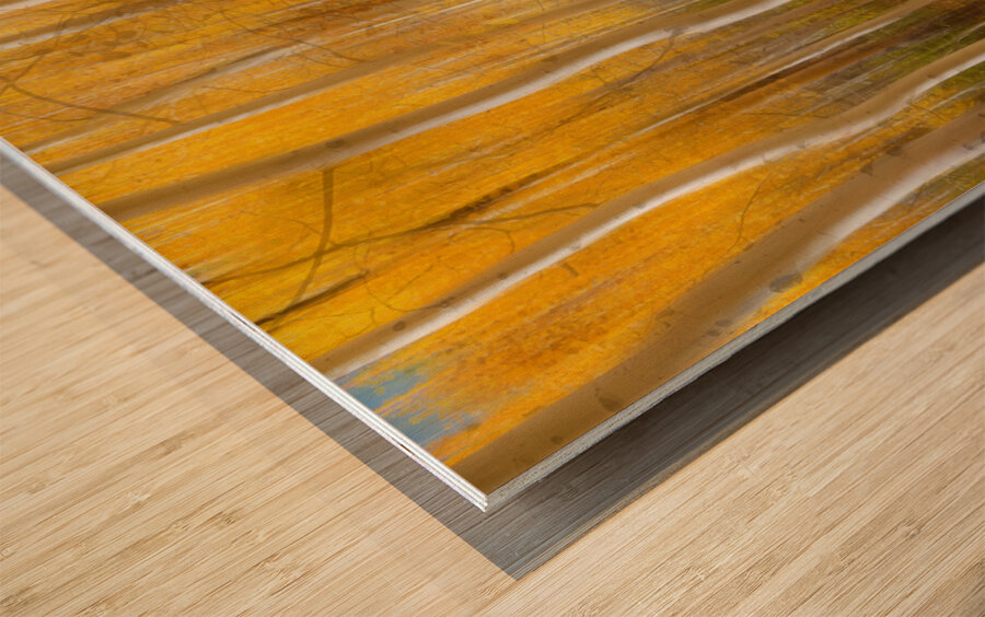 Golden Forest Moment Abstract Wood print