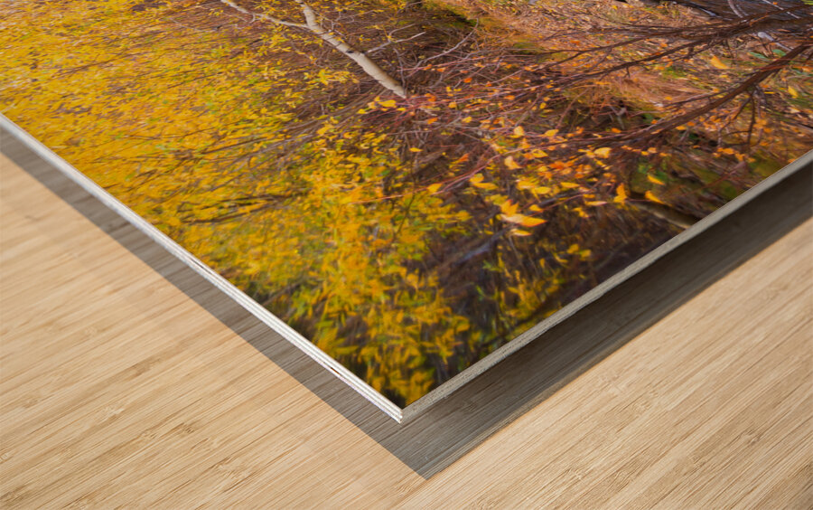 Rustic Log Bridge in Golden Autumn Forest – Serene Fall Creek  Wood print