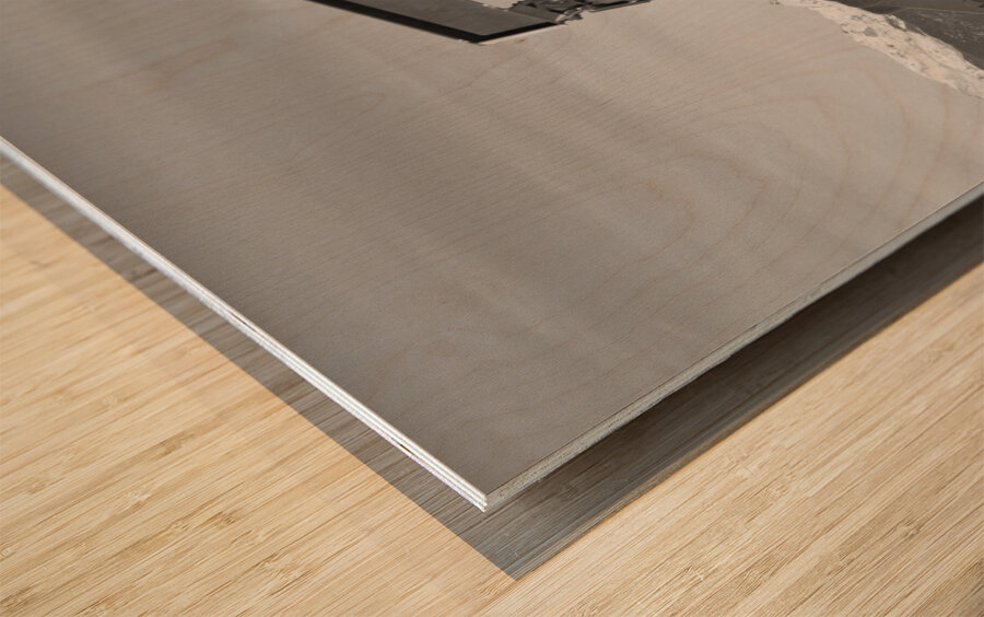 Oil Well Pumpjack Red Barn and Longs Peak BW Wood print