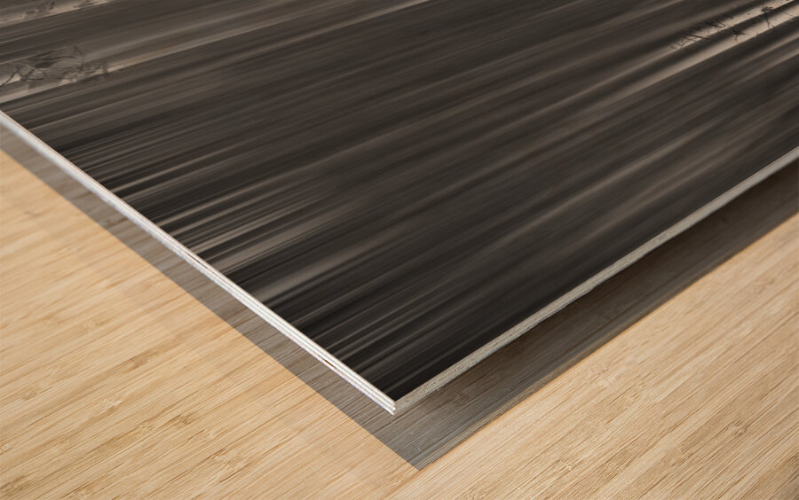 Somewhere Along the Road Dreaming Black and White Wood print