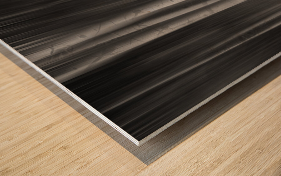 Autumn Aspen Trees Dreaming BW Wood print