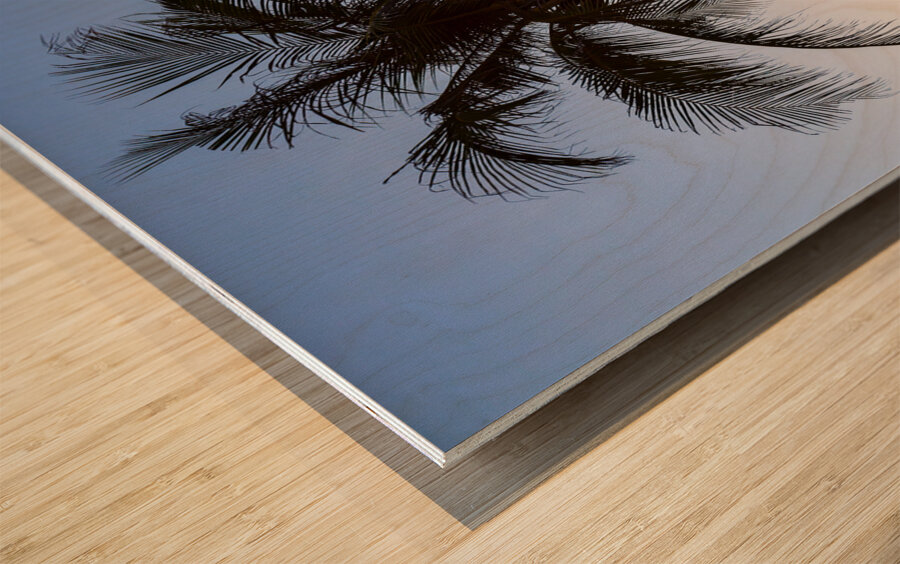 Coco Mo Tropical Sunrise Wood print