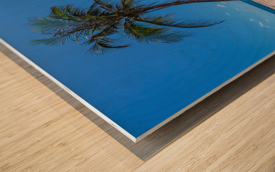 Tropical Blue Skies And White Sand Beaches Wood print
