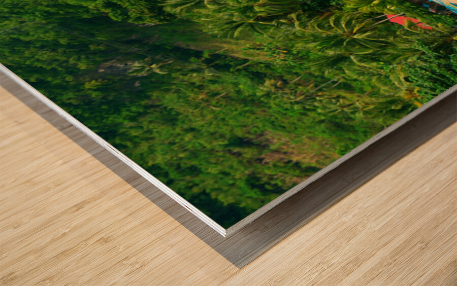 Blue Whispers of the Tropic Shore Wood print