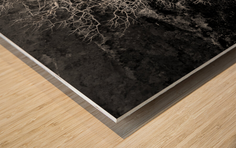 Majestic Solitude of a Bare Tree in Black and White Wood print