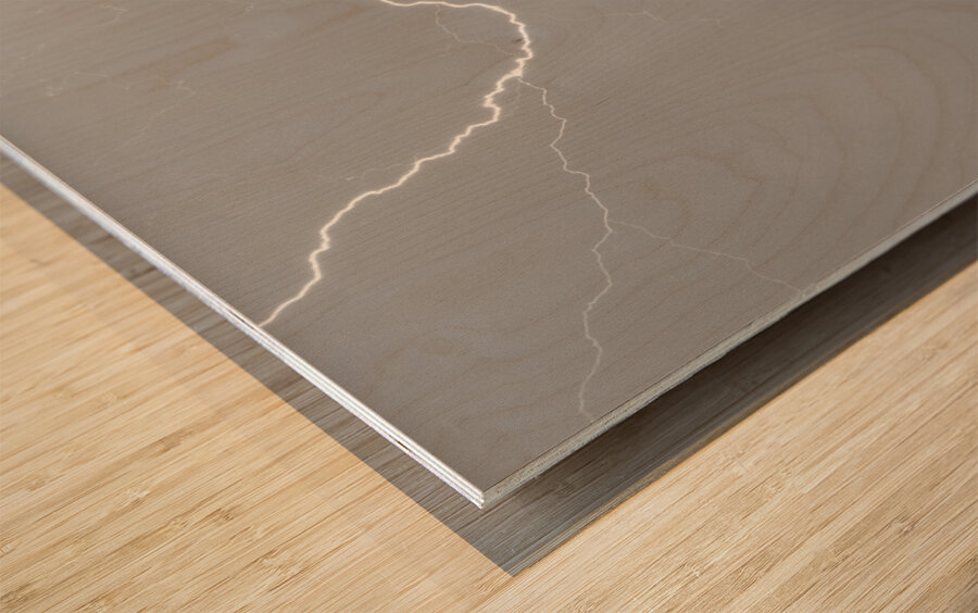 C2C Red Barn Lightning Rodeo BW SC Wood print