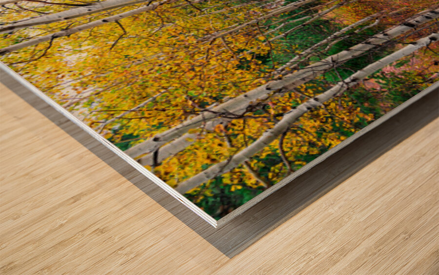 Happy Place In The Woods Wood print